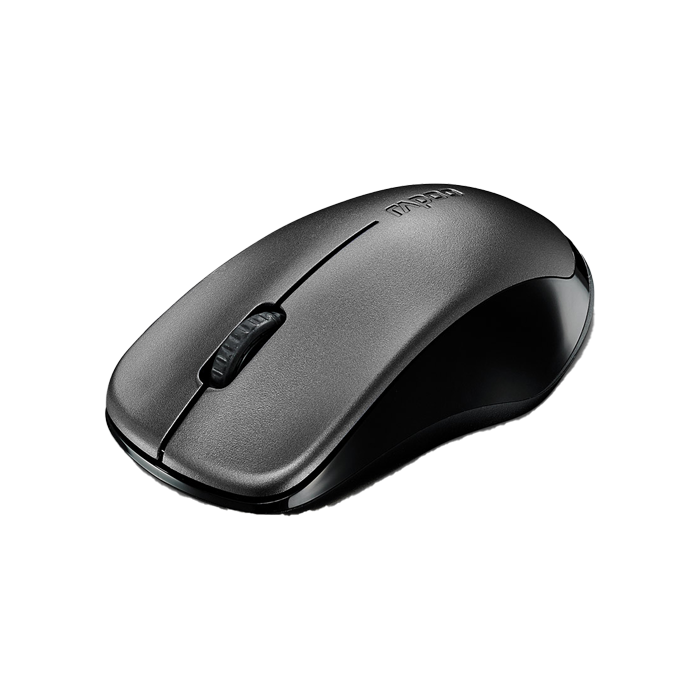 Rapoo W/L Mouse 1620